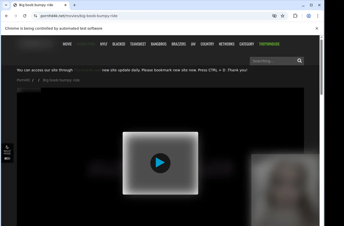 Pornhd 4 K Video Downloader browser extension screenshot 2