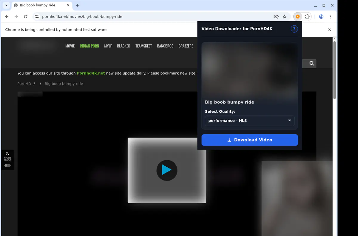 Pornhd 4 K Video Downloader browser extension screenshot 3